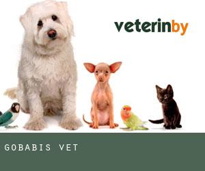 Gobabis Veterinary Practice logo
