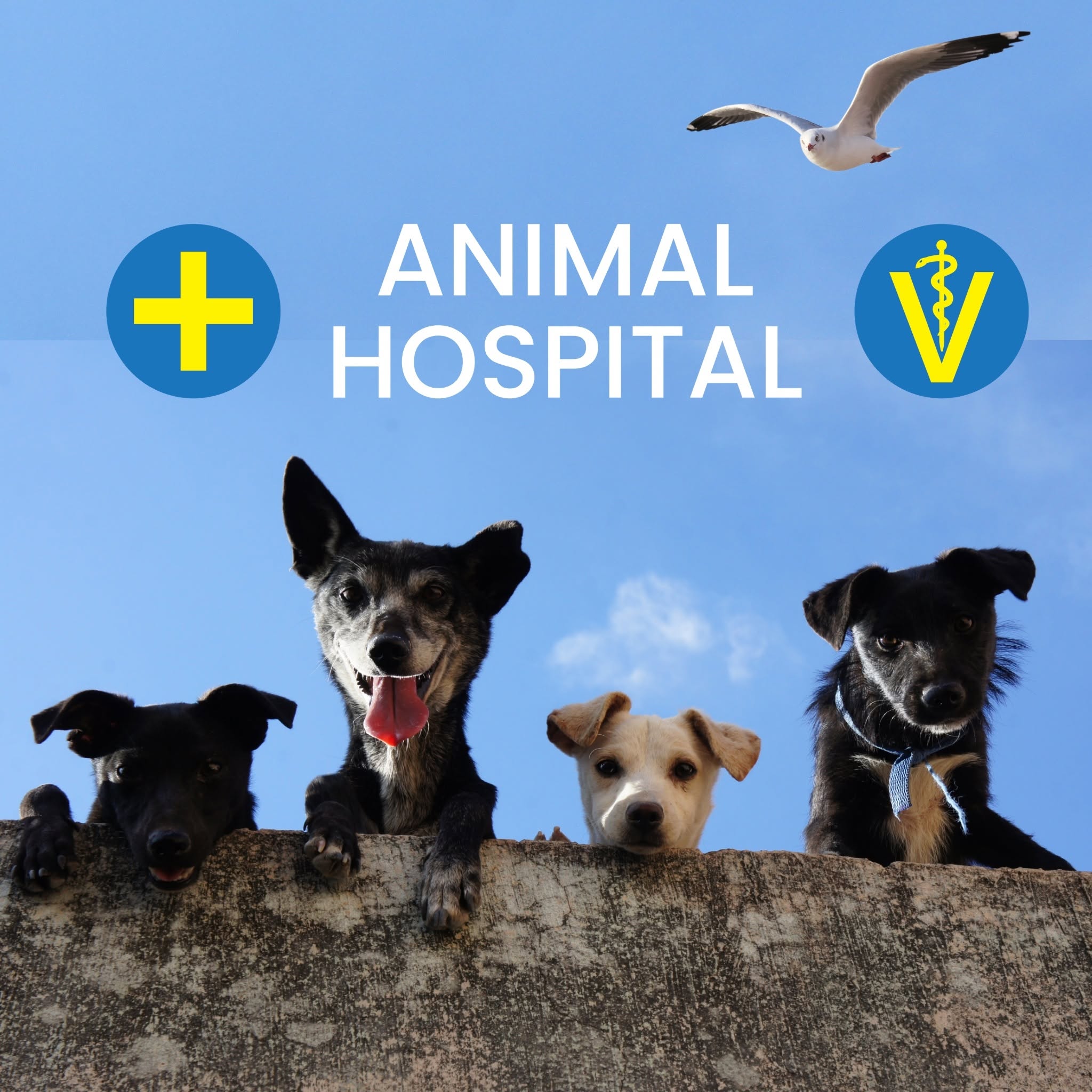 Animal Hospital logo